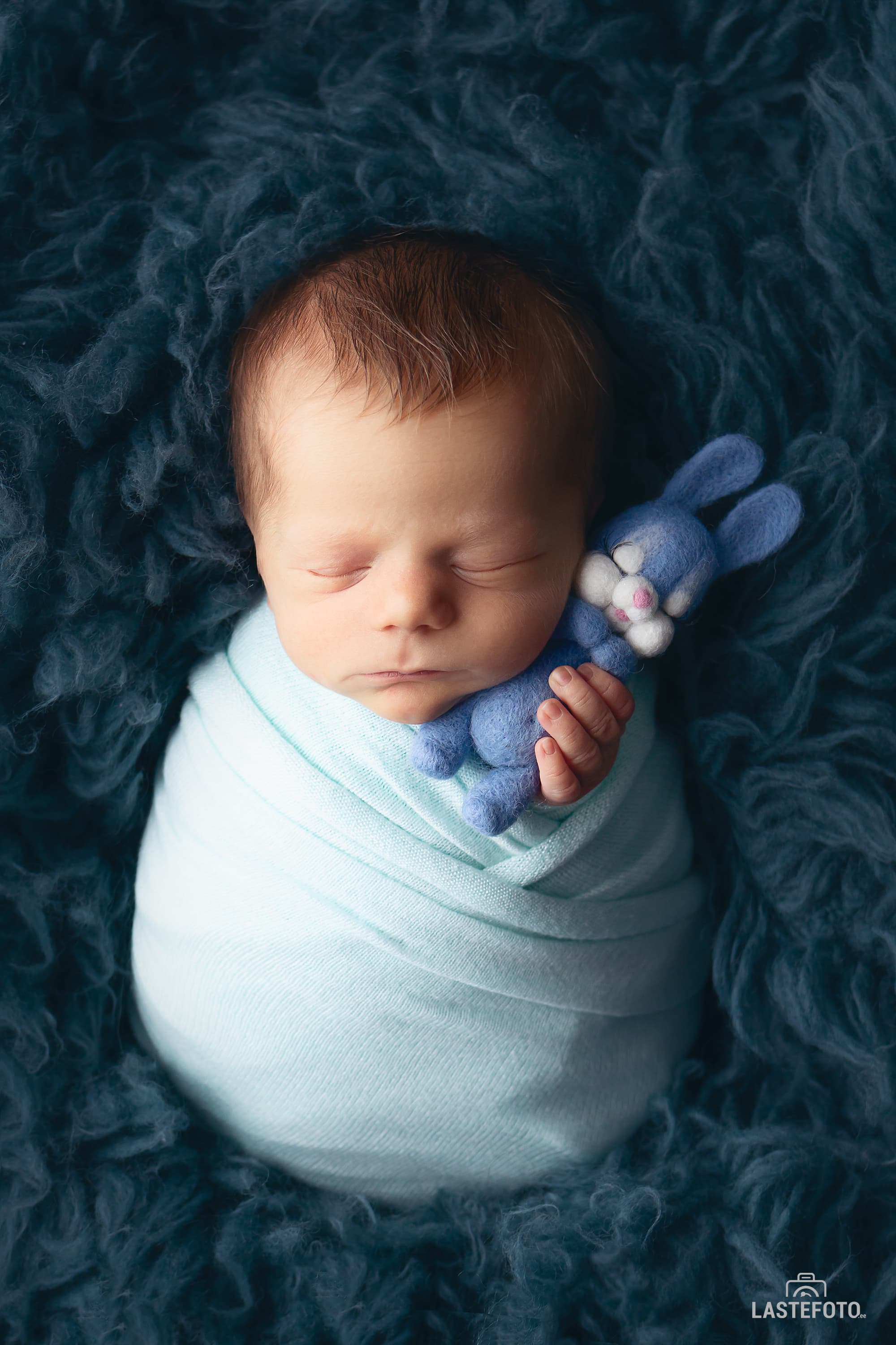 newborn pictures in Tallinn